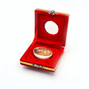big gomati chakra 1
