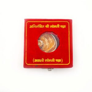 big gomati chakra 2